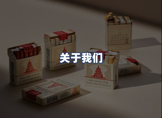 关于我们